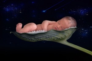 stage de naissance bébé