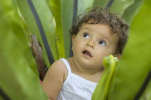 Bébé dans une plante